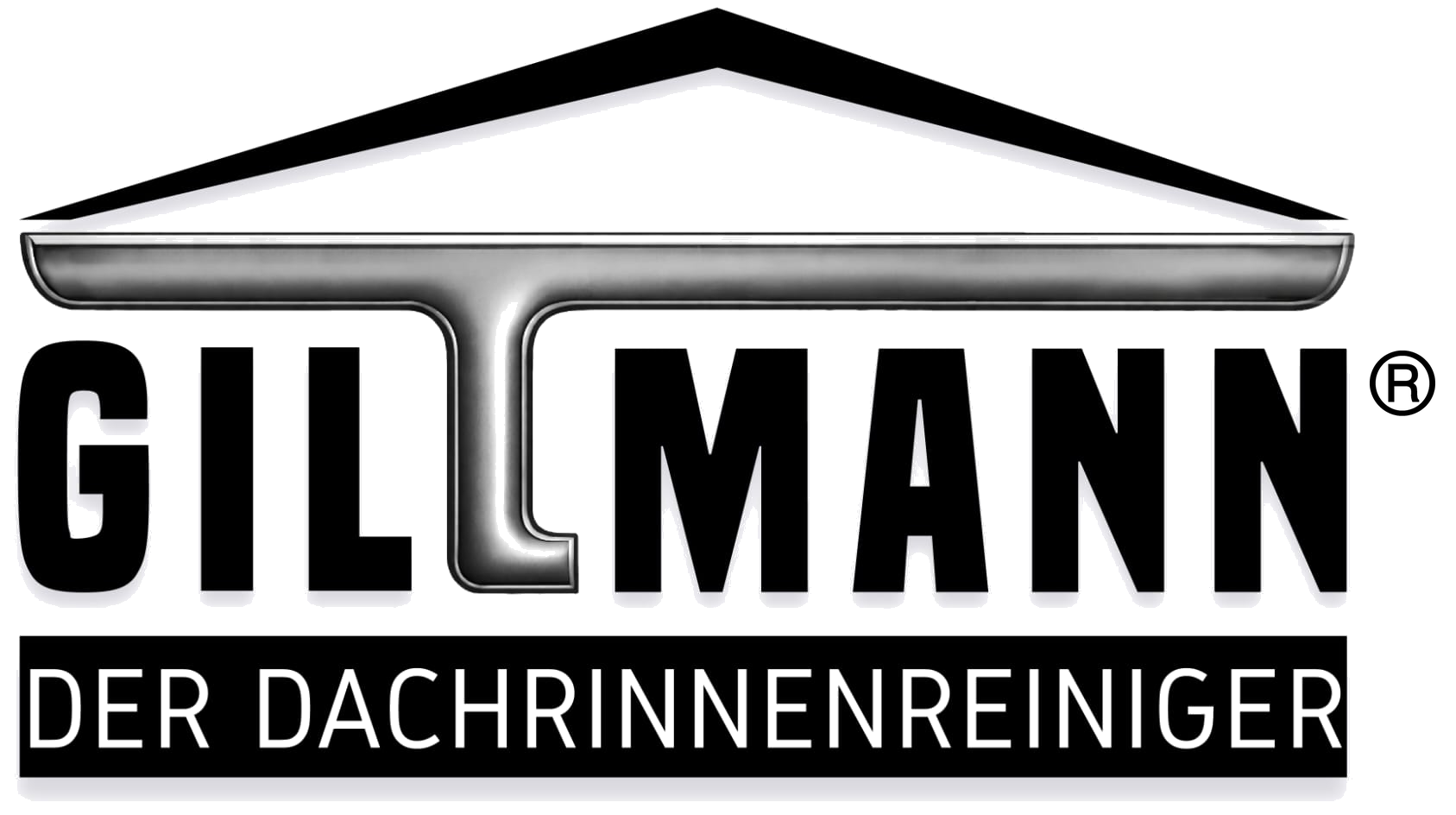 GILLMANN – Der Dachrinnenreiniger